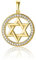 PRINS JEWELS 14 Karat 585 Gold Davidstern Mit Zirkonia Steinen Rund Anhänger Gelbgold