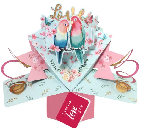 Love Birds I Really Love You Pop Up Couple Card Suit Any Romantic Occasion POP199V12