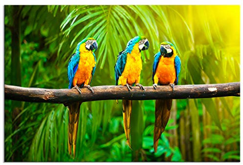 decomonkey - Impression sur Toile Animau Perroquets 90x60 1 Pièce - Tableau Décoration Appartement Cadre en Bois Déco Salon Peinture sur Toile Jungle nature perroquets oiseaux plantes animaux