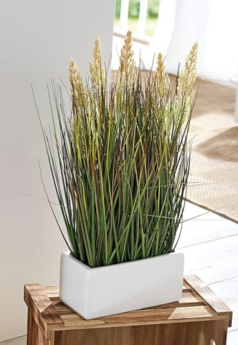 Dekoleidenschaft Kunstpflanze Gras 46 cm hoch, Ziergras im Porzellan-Topf, Dekopflanze, Dekogras für Wohnzimmer, Schlafzimmer oder Büro, Gräserbüschel, Kunstgras