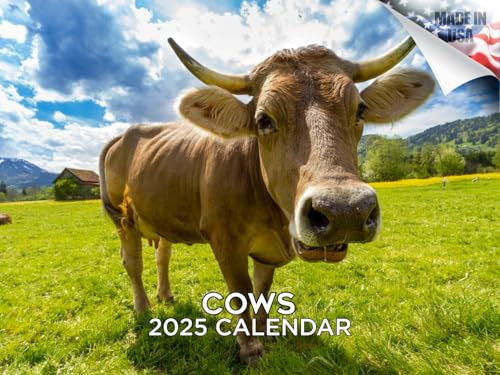 Kalender 2024 2025 Kühe – niedlicher Bauernhoftier-Monats-Wandkalender – 30,5 x 45,7 cm offen – dickes Papier ohne Auslaufen – Geschenk – akademischer Lehrerplaner Kalender Organisieren und Planen