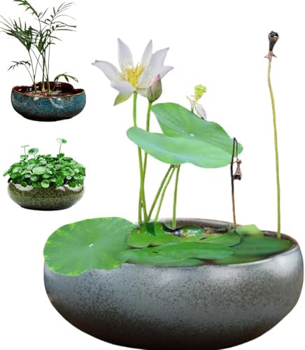 Pot de Fleur de Bol de Lotus, Bol Rond de Lotus, Bol de lys d'eau Claire, Bol de Lotus cultivé dans l'eau intérieure, Plantes hydroponiques succulentes Florales sans Support (Gris+s)