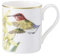 Villeroy & Boch Amazonia Mokka-/Espressoobertasse 0,08 l