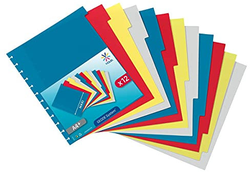 Viquel - Lot de 12 intercalaires A4+ GEODE en plastique pour porte vues à pochettes amovibles