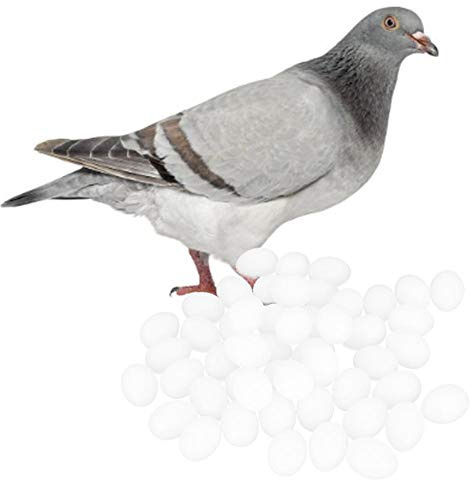 Künstliche Taubeneier 50 Stück, Vollkern Plastik 3,5 cm | Wiederverwendbar, waschbar, lebensecht, bruchsicher, 536 g, für Brutkontrolle, Taubenzucht, Züchterbedarf
