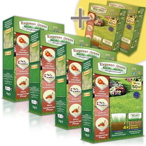 Professioneller Express-Rasen - Zuverlässig, kälte- und hitzebeständig - Ultra-schnelles und dichtes Keimen (10 Tage) - Alle Klimazonen (4 Boxen + 2 gratis 300M²)
