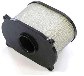 Filtro aria per SUZUKI SV 650 S 1999-2002 Filtro aria #13780-20F00