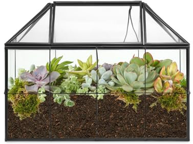 QWORK® Tarro de Terrario Geométrico, Terrario de Invernadero con Tapa, para Cactus, Suculentas, Negro, 22x13.5x18.5cm, Sin Plantas