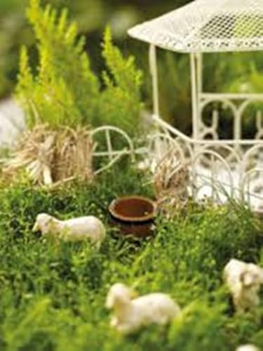 FADEDA Garten Figur - Zubehör - Wandbrunnen weiß aus Polyresin, handbemalt - Deko Wandbrunnen weiß Dekofiguren Garten Deko Gartenfiguren für außen, Höhe: 7 cm