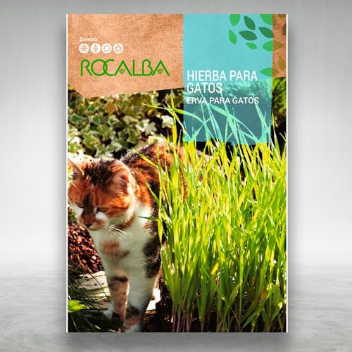 Semillas Hierba para Gatos - Semillas Digestivas para tus Gatos para cultivarlas en Interior o Exterior - Siembra la mejor hierba gatera en todas las épocas - Sobre Profesional 10 GR - Nexum Market