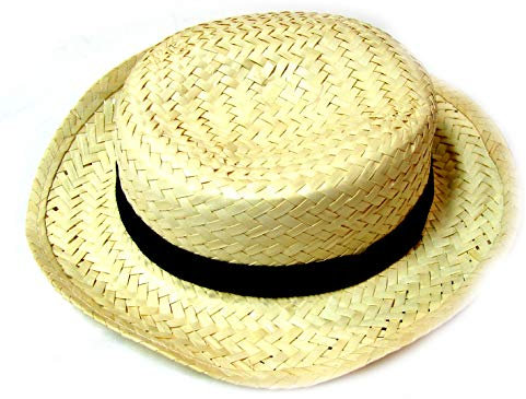 LP Divertissements Lot de 12 - Chapeau de Campagne/canotier en Paille