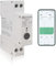 KETOTEK WiFi Compteur Electrique Bidirectionnel Voltmètre Ampèremètre Smart Compteurs d'énergie Rail DIN KWh Mètre Commutateur Minuterie Télécommande sans fil