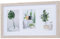 levandeo Bilderrahmen Collage 3 Fotos 10x15cm Eiche Gekälkt Natur MDF Holz Passepartout Glasscheibe Fotorahmen Fotogalerie