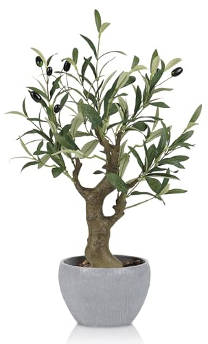 HPNIUB Fake Olive Tree Bonsai Tree in Pot Tall Indoor Home Decor