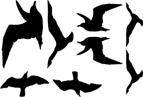 Samunshi® Wandtattoo Vogelschutzaufkleber Möwen-Set 75x50cm schwarz