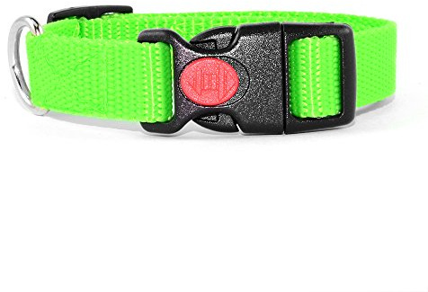 Neon Grün Hundehalsband 34-54cm