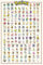 Pokémon Close Up Poster Charaktere (61 cm x 91,5 cm) + 2 St. transparente Posterleisten mit Aufhängung
