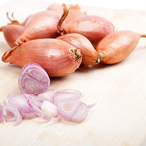 Semi di scalogno - Allium cepa