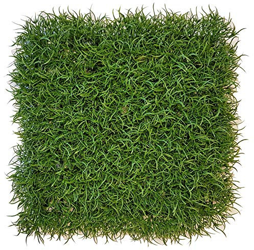 artplants.de Seto de césped de plástico/Jardín Vertical Filly, Zona resguardada, Verde, 25x25cm - Pared Plantas Artificiales/Tapiz de Hierba Falsa