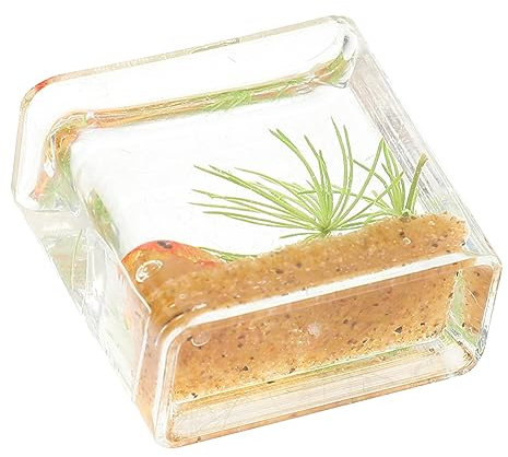 VICASKY Mikrolandschaft Goldfischbecken Modell Mini Harz Aquarium Miniatur Aquarium Spielzeug Winzige Spielzeuge Kleines Aquarium Mini Dekorationen Mini Aquarium