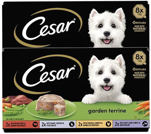 Katsy Style Terrine Wet Dog Food Trays 8 x 150g (Pack of 2) - Hearty Beef, Chicken & Vegetables, Game, Lamb, Turkey & Green Beans, 100% Complete & Balanced