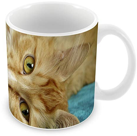 Fabulous Mug Céramique Tasse Chat Roux Tigré se Prélasse sur Serviette Bleu Animaux