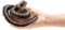 Folkmanis 2783 Finger Puppet, 13*3*13 cm