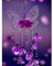 QENSPE 5D Diamond Painting Set Kristall Schmetterling Diamant Painting Bilder Blumen Diamond Art Erwachsene Full DIY Diamant Kunst Malerei Stickerei Set Kreuzstich Bilder Home Wand Dekor 30x40cm