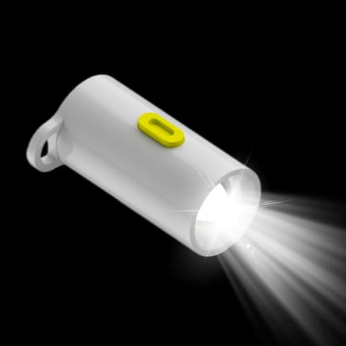Wpsagek Mini Wiederaufladbare Taschenlampe - USB-C-Anschlüsse Kleine LED-Leuchte | USB-C Taschenlampe Plug-and-Play Für Outdoor Camping Wandern Haushalt