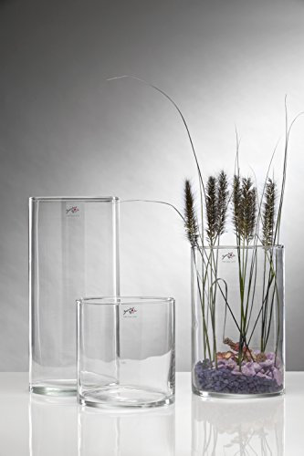 Sandra Rich 360092 Glasvase, Glas, transparent, 19 x 19 x 20 cm