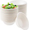 100Pcs Small White Paper Bowl Disposable Bowls for Parties,7.7oz/220ml Party Bowl Biodegradable Sugarcane Bowl Serving Bowl Dessert Soup Bowl Compostable Bowls Picnic Bowl Party for Hot Cold Food