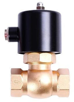 WFNKJTGO Électrovanne à Vapeur d'eau normalement fermée en Laiton, 16 Bars, 12v, 220v, 24vac, 1 , Haute température, 180 ℃(Bsp-230vac)