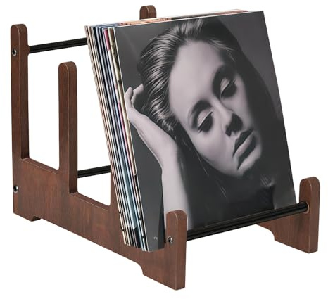 Porta Vinili in Legno: Porta Dischi Vinile 37 x 27 x 24 cm, Portas Dischi in Legno per Fino a 60 Lp E Singoli, Cassetta per Dischis for CD Holder, Book Holder, Magazine Rack