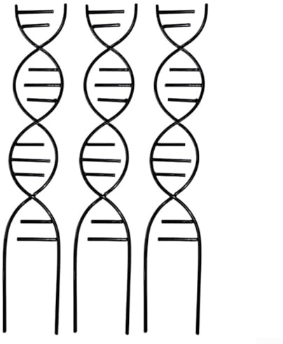 Indoor Klettergerüst Set mit DNA For Helix Design für Topfpflanzen aus stabilem Eisen zur Förderung des strukturierten Wachstums und zur Verhinderung des Umkippens der Pflanzen (Schwarz)