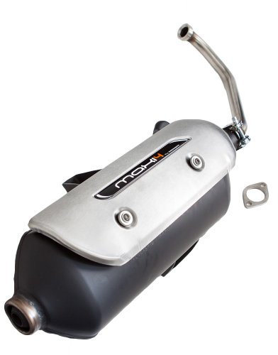 Pot d'échappement TECNIGAS Maxi 4 - Piaggio Liberty 125 RST 4T AC 04-06 ZAPM381