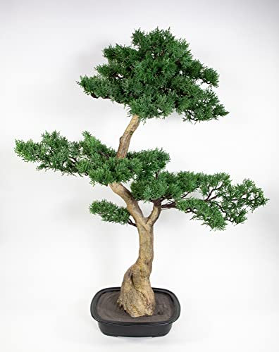 Bonsai Japanische Zeder 100x75cm GA künstlicher Baum Kunstbaum Dekobaum Kunstpflanzen Seidenblumen Roß