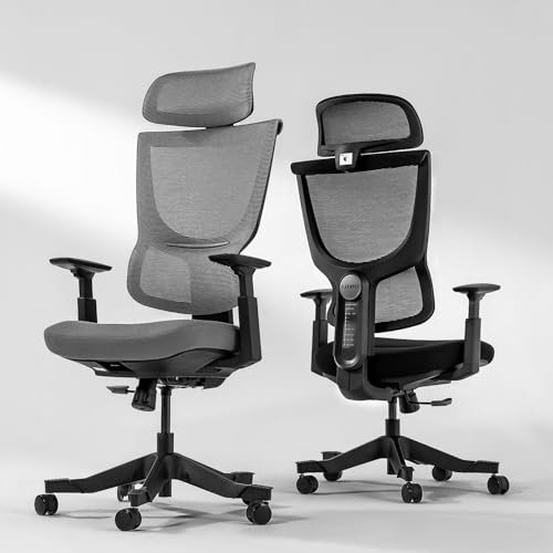FLEXISPOT Ergonomischer Bürostuhl mit 9 Positionen Lendenwirbelstütze, verstellbaren Armlehnen, elastischem Kissen, atmungsaktiver Kopfstütze und verstellbarer Rückenlehne, Schreibtischstuhl für Home