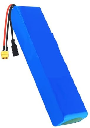Blivysse Batterie Lithium-ION Rechargeable 36 V 100 Ah pour vélo électrique 10S3P, Puissance 1 000 W, pour Scooter électrique modifié