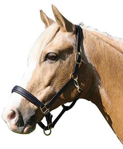 CATAGO Lederhalfter - schwarz - Pony
