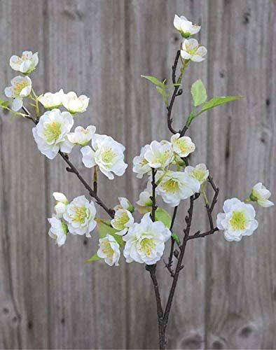 artplants.de Künstlicher Blütenzweig Kirsche SOEY mit Blüten, Creme-weiß, 45cm - Kirschblütenzweig Deko/Kunstblumen Zweig