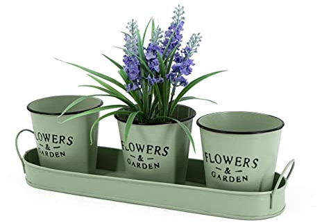 Macsa NO55928 - Macetero (4 piezas, zinc, verde, estilo vintage, redondo, bandeja para plantar, jardín de hierbas, maceteros para hierbas, macetas para flores, en bandeja