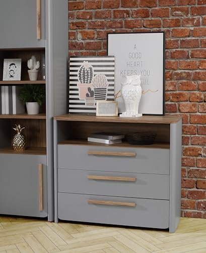 Forte SURFINIO Kommode mit 3 Schubladen, Holzwerkstoff, Catania Eiche/Grau, B x H x T: 98,9 x 85,9 x 41,3 cm