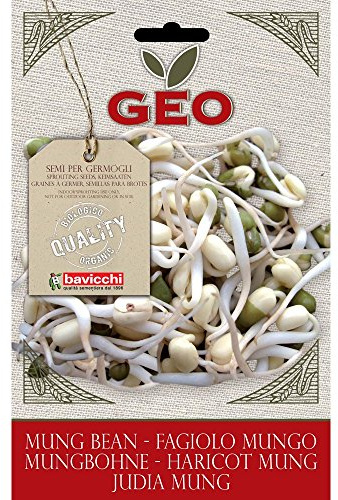Graines à germer BIO: Haricot Mung