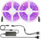 Arotelicht UV LED Strip 10M Schwarzlicht LED Streifen 12V Netzteil, Selbstklebend 600leds UV LED band IP20 Lichterkette Black Light für Party, Bar, Neonfarben, Club