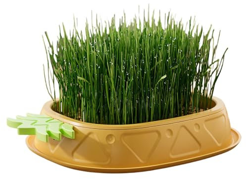 Humkopnl Jardinière d'herbe à chat pour chats d'intérieur | Kit de culture sans sol, motif ananas et plateaux de germination, pot d'herbe de blé, sol, plante pour chat d'intérieur
