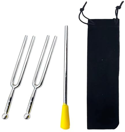 EJUFNS 2 Pieces Of 440Hz Tuning Forks And 1 Piece Of Hammer, With Storage Bag Protection Design, Portable Musical Instrument Tools, Monophonic Pitch Reference, Suitable For Piano, Guitar, Violin.