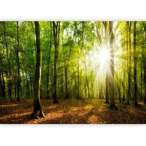 murando Carta da parati Foresta 400x280 cm Fotomurali in TNT Murale alla moda Decorazione da Muro XXL Poster Gigante Design Carta per Pareti Soggiorno Paesaggio Natura Raggio di sole c-B-0663-a-a