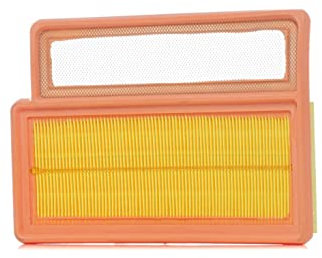 RIDEX 8A0663 Filtro aria motore Cartuccia filtro