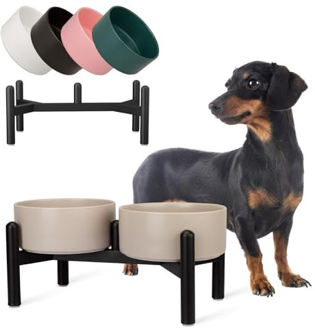 Raised Ceramic Dog Bowl Set - Elevated Double Dishes with Stainless Steel Stand - Food and Water Bowls for Small to Medium Dogs - Each Holds 2 cups (28.75 fl oz) - Grey