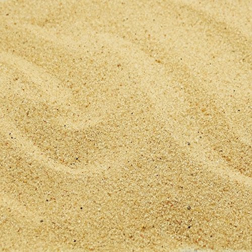 MGS SHOP Dekokies Dekosand Zierkies Natur Kies Sand maritim (5 kg, Beige 0-2mm)